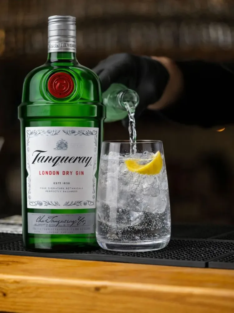 Bombay Dry Gin Tonic