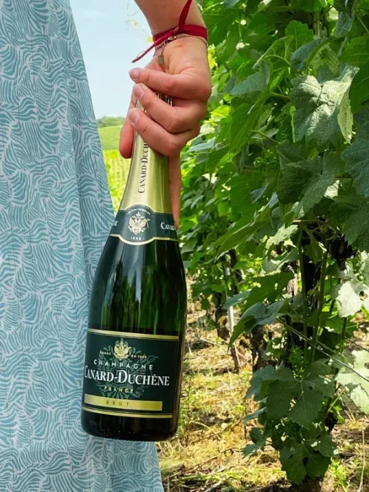 Canard Duchene Leonie Brut Champagne
