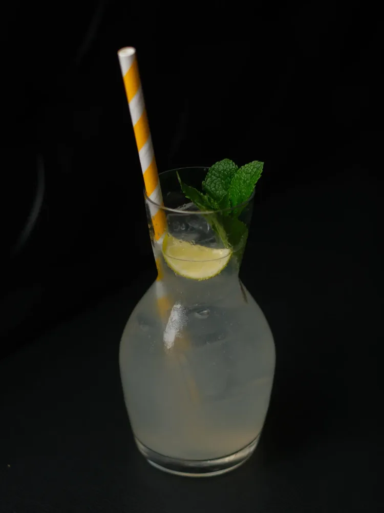Zenzero-lime-menta (0,5l)